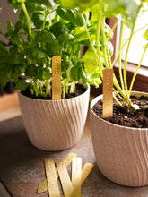 Load image into Gallery viewer, Brass Herb &amp; Plant Marker - Custom Name